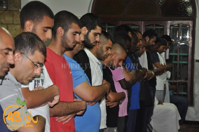 qader yaffa msajed (32).JPG